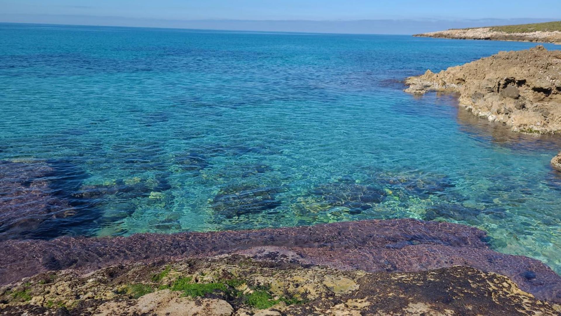 Casa Del Nespolo Villa Tonnara di Bonagia Dış mekan fotoğraf